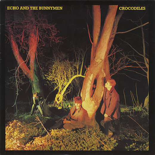 Echo and The Bunnymen: Crocodiles (1980)
